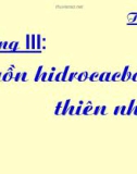 Nguồn hidrocacbon trong thiên nhiên