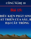 Bài giảng Công nghệ 10 bài 15: Điều kiện phát sinh, phát triển của sâu bệnh hại cây trồng