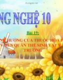 Bài giảng Công nghệ 10 bài 19: Ảnh hưởng của thuốc hóa học bảo vệ thực vật đến quan hệ sinh vật và môi trường