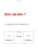 Sinh vật biển 1