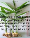 Đề Tài: “NGHIÊN CỨU BỆNH THỐI CỦ DO NẤM Rhizoctonia solani VÀ VI KHUẨN Erwinia carotovora GÂY HẠI TRÊN CÂY GỪNG Ở ĐỊA BÀN HUYỆN KRÔNG NĂNG - TỈNH ĐĂK LĂK”