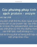 Bài giảng Công nghệ protein – enzyme: Chương 3