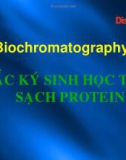 Bài giảng Sắc ký sinh học tinh sạch Protein