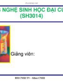 Bài giảng Công nghệ sinh học đại cương: Chương 3 - ThS. Ninh Thị Thảo