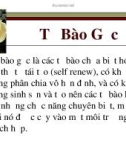 Bài giảng môn Tế bào gốc