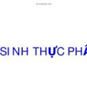 Bài giảng Vi sinh thực phẩm - Phạm Thị Lan Phương