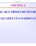 Bài giảng Vi sinh thực phẩm: Chương 4 - Trần Thị Huyền