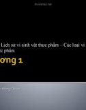 Bài giảng Vi sinh thực phẩm: Chương 1 - TS. Bùi Hồng Quân