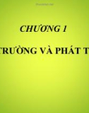 Bài giảng môn học Kinh tế môi trường - Chương 1: Môi trường và phát triển