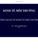 Bài giảng Kinh tế môi trường: Tổng quan về kinh tế môi trường - Nguyễn Thị Thanh Huyền