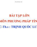 Bài tập lớn môn: Phương pháp tính - ThS. Trịnh Quốc Lương