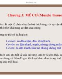 Chương 3: MÔ CƠ (Muscle Tissue)