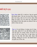 Đại cương về Mô và Phôi : Mô liên kết part 4