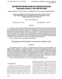 Quá trình phát sinh hình thái mô sẹo và chồi của cây long não (Cinnamomum camphora (L.) Sieb.) nuôi cấy in vitro