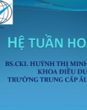 Bài giảng Hệ tuần hoàn - BS.CKI. Huỳnh Thị Minh Tâm