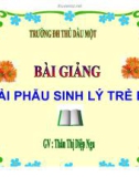 Bài giảng Giải phẫu sinh lý: Chương IX - GV. Thân Thị Diệp Nga