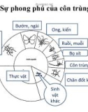 Bài giảng Côn trùng đại cương - Chương 3: Giải phẫu & sinh lý côn trùng