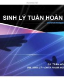 Bài giảng Sinh lý học: Sinh lý tuần hoàn - BS. Trần Ngọc Thanh