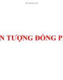 Bài giảng Hiện tượng đồng phân