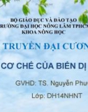 Bài giảng Di truyền thực vật - Nhóm 7: Cơ chế của biến dị