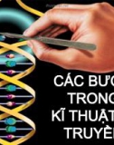 Bài giảng Di truyền thực vật - Nhóm 4: Các bước trong kĩ thuật di truyền