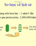 Nuôi cấy tế bào thực vật