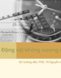 Động vật không xương sống - GVHD: PGS. TS. Nguyễn Văn Quàng