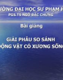 Bài giảng giải phẫu so sánh động vật có xương sống - PGS.TS. Ngô Đắc Chứng