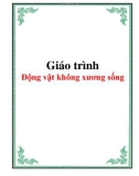 Giáo trình Động vật không xương sống