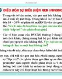 Điều hòa gene hệ miễn dịch ở động vật có xương sống part 11