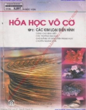 Kiến thức Hóa học vô cơ (Tập 2 - Các kim loại điển hình): Phần 1