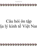 Câu hỏi ôn tập Địa lý kinh tế Việt Nam