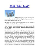 Mùi “kim loại”