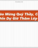 Bài giảng Bài 11: Khu vực Đông Nam Á - Hiệp hội các nước Đông Nam Á (Tiết 3)