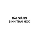 Bài giảng Sinh thái học - Trường ĐH Nông Lâm