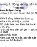 Giáo trình Sinh học - Động vật nguyên sinh - Protozoa