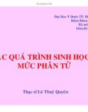 CÁC QUÁ TRÌNH SINH HỌC Ở MỨC PHÂN TỬ