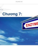 Bài giảng Sinh hoá cơ sở: Enzyme - PGS.TS. Ngô Đại Nghiệp và TS. Nguyễn Thị Hồng Thương