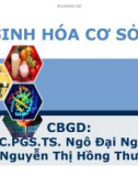 Bài giảng Sinh hoá cơ sở: Mở đầu - PGS.TS. Ngô Đại Nghiệp và TS. Nguyễn Thị Hồng Thương