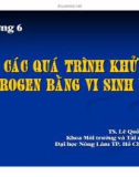 Bài giảng Vi sinh vật môi trường (TS. Lê Quốc Tuấn) - Chương 6