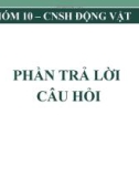 Bài giảng Công nghệ sinh học động vật