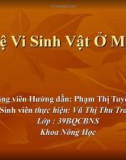 Hệ Vi Sinh Vật Ở Mực