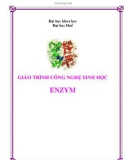 Giáo trình công nghệ sinh học: Enzyme - PGS.TS Nguyễn Qúy Hai (Chủ biên)