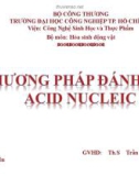 PHƯƠNG PHÁP ĐÁNH DẤU ACID NUCLEIC