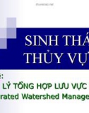 Đề tài Quản lý tổng hợp lưu vực sông 