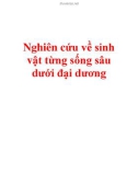 Nghiên cứu về sinh vật từng sống sâu dưới đại dương