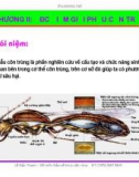 Bài giảng côn trùng : Đặc điểm giải phẫu côn trùng part 1