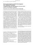 Báo cáo Y học: The Fe-only nitrogenase and the Mo nitrogenase from Rhodobacter capsulatus A comparative study on the redox properties of the metal clusters present in the dinitrogenase components