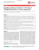 Báo cáo y học: Signaling pathways involved in LPS induced TNFalpha production in human adipocytes