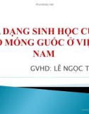 Đa dạng sinh học của bộ móng guốc ở Việt Nam - GV: Lê Ngọc Thông